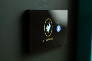 Boutique Hotel Cocosul De Aur