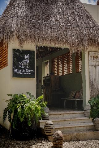 Alma de Zorro