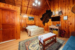 Room Room