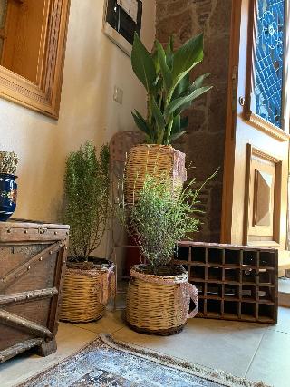 Fragrante Hotel - Adult Only