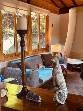 Sweet Home River Hotel
