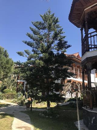Asur Hotel & Aparts & Villas