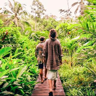 La Loma Jungle Lodge And Chocolate Farm