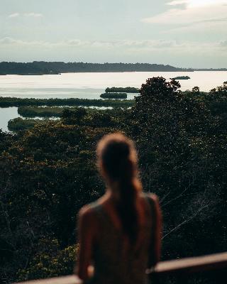 La Loma Jungle Lodge And Chocolate Farm