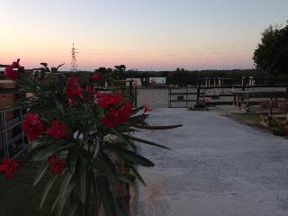 Arion Stables Apartments