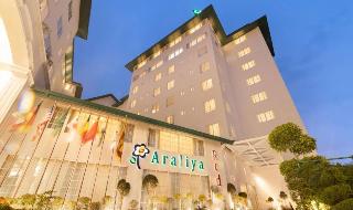 Araliya Red