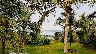 Beach Paradise By Oceanfront Condos