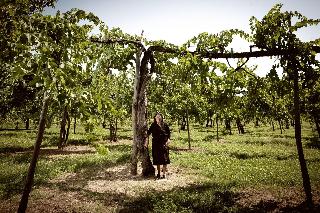Feudi Di San Gregorio Wine Estate