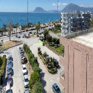 Delfini Patras