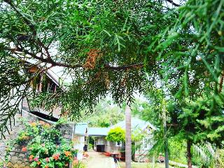 Kallycave Eco Lodge
