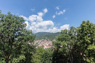 The Lynx Mountain Resort