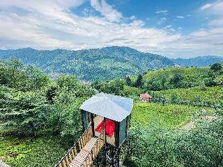 Organikkoy Bungalov