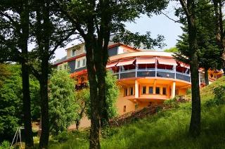Hostellerie Le Turckheim Croix D Or
