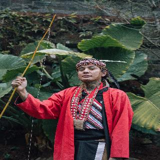 整體概覽