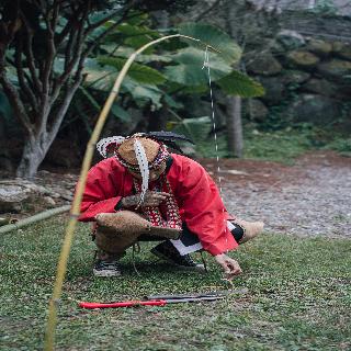 整體概覽
