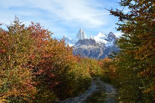 Patagonia Eco Domes