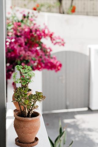 Amphitrite Suites Santorini