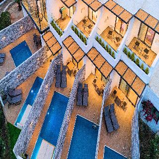 Aelia Suite