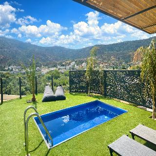 Aelia Suite