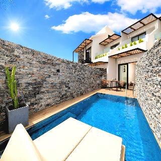 Aelia Suite