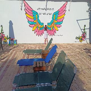 Albatross Apartments