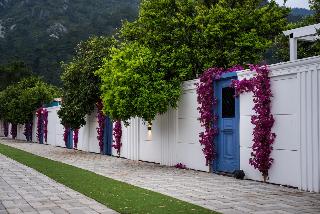 Collesium Garden