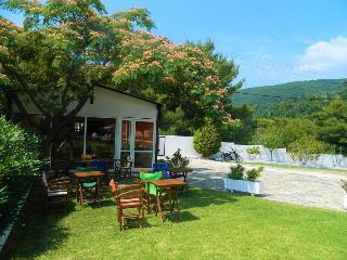 Asteri Studio's