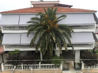 Dionisos Palms