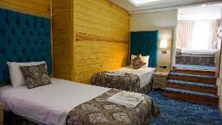 Ayder Hasimoglu Otel - Eur