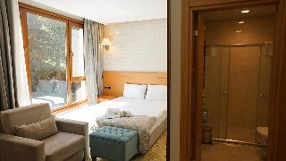 Ayder Hasimoglu Otel - Eur