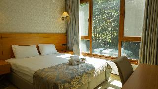 Ayder Hasimoglu Otel - Eur