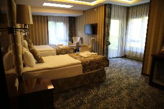 Ayder Hasimoglu Otel - Eur