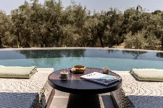 King Jason Zante – Designed For Adults