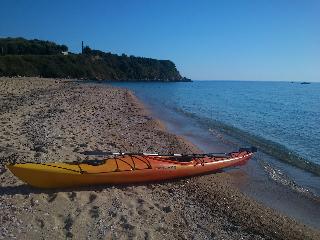 Palmina Mare