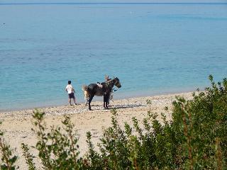 Palmina Mare