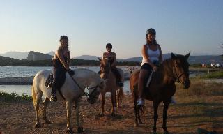 Palmina Mare