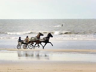 General view
 di Mercure Deauville du Yacht Club