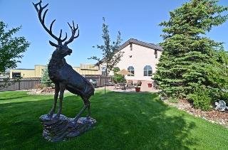 General view
 di Best Western Plus Deer Park Inn & Suites
