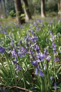 General view
 di Best Western Kenwick Park Hotel