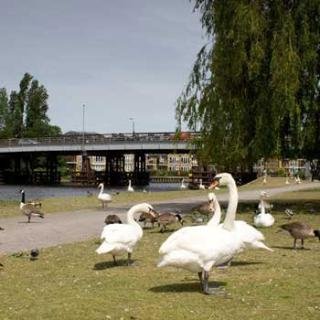 General view
 di Best Western The Ship Hotel