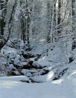General view
 di Best Western Hotel Restaurant L'Auberge