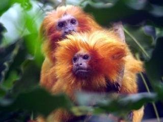 General view
 di Best Western Hotel Restaurant Stadskanaal