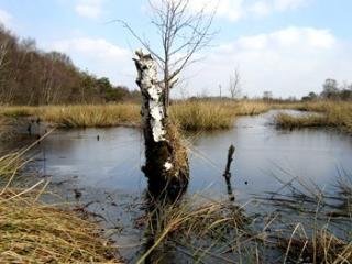 General view
 di Best Western Hotel Scholtenhagen