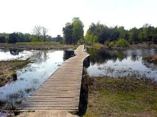 General view
 di Best Western Hotel Scholtenhagen