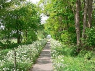 General view
 di Best Western Hotel Scholtenhagen