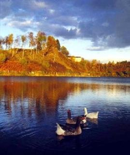 General view
 di BEST WESTERN L'Amandier