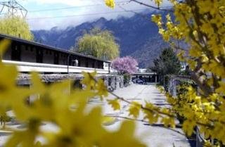 General view
 di BEST WESTERN Hotel Sommerau