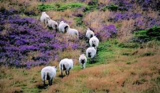 General view
 di BEST WESTERN Hotel Eyde