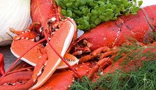 General view
 di BEST WESTERN Hotel Kronprinds Frederik