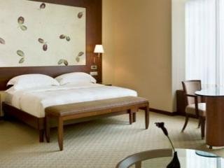 General view
 di Park Hyatt